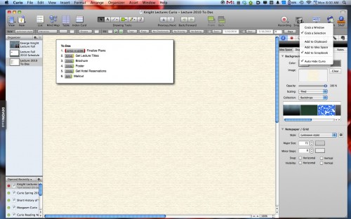 Curio Snap Page Options Curio Snap Page Options 500x312 Curio 6 for Mac: A Limitless Canvas for Creating Ideas