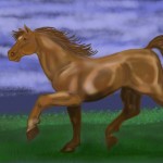 A Horse