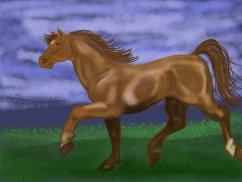 Horse Sketchbook Pro 500x375 Three Amazing Art Apps for the iPad: A Review and Comparison