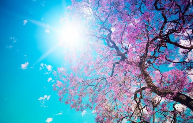 spring_2013_mac_bundle_deals