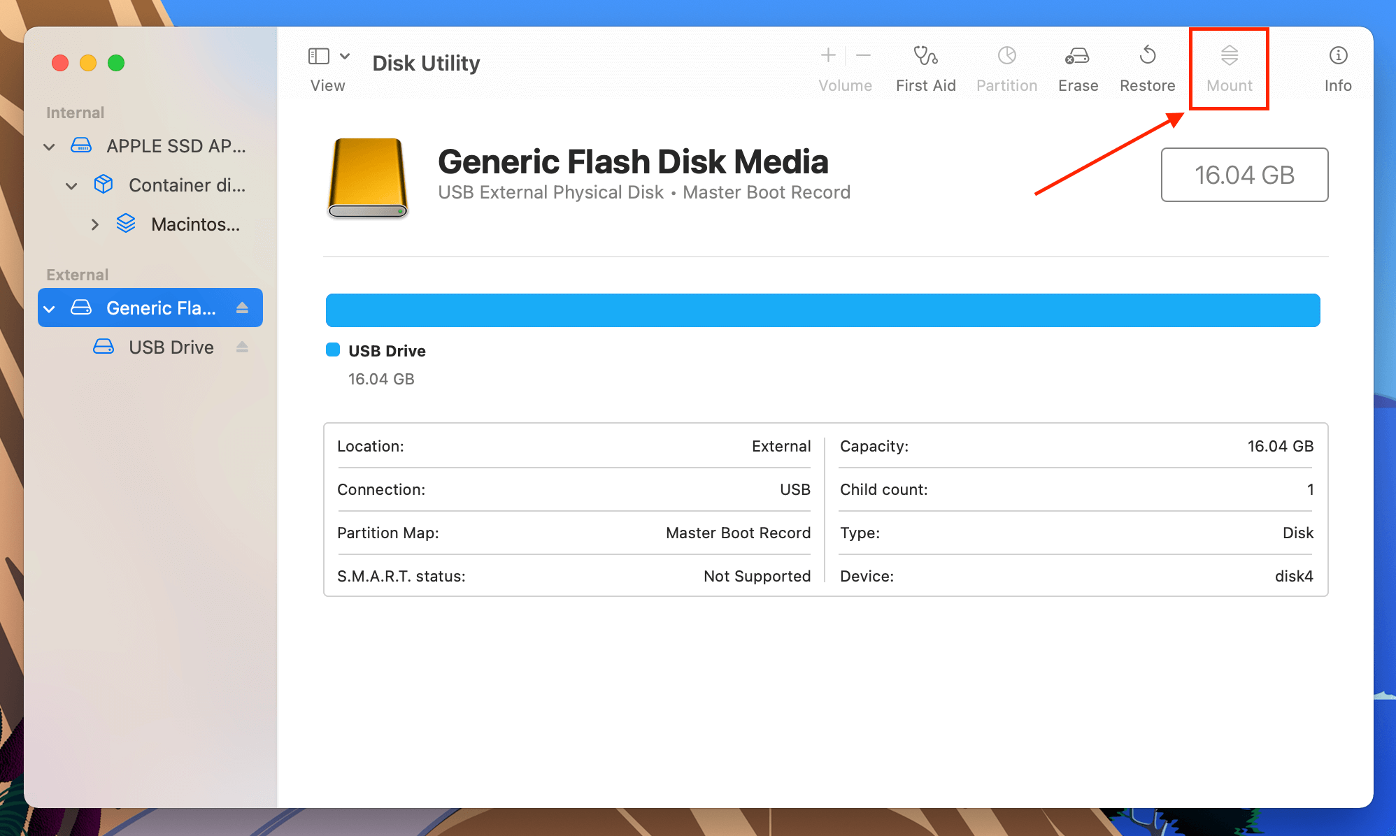 Mount button in the Disk Utility window
