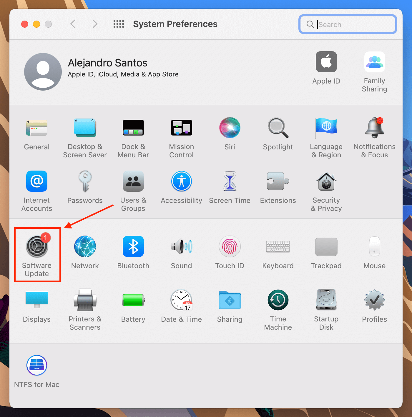 Software Update app in the System Preferences window