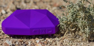 Heading To The Beach? Take The Turtle Shell Speaker With You