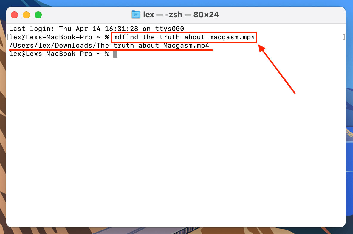 Mdfind command in the Terminal window