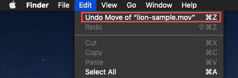 Click Undo Move of file