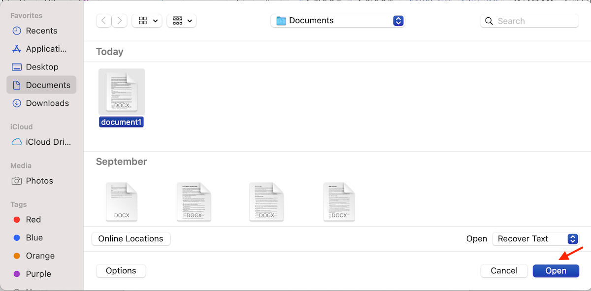 open file for recovery