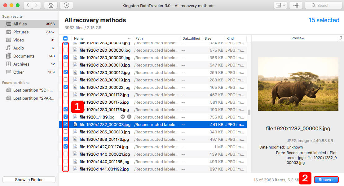 Select and Recover Files