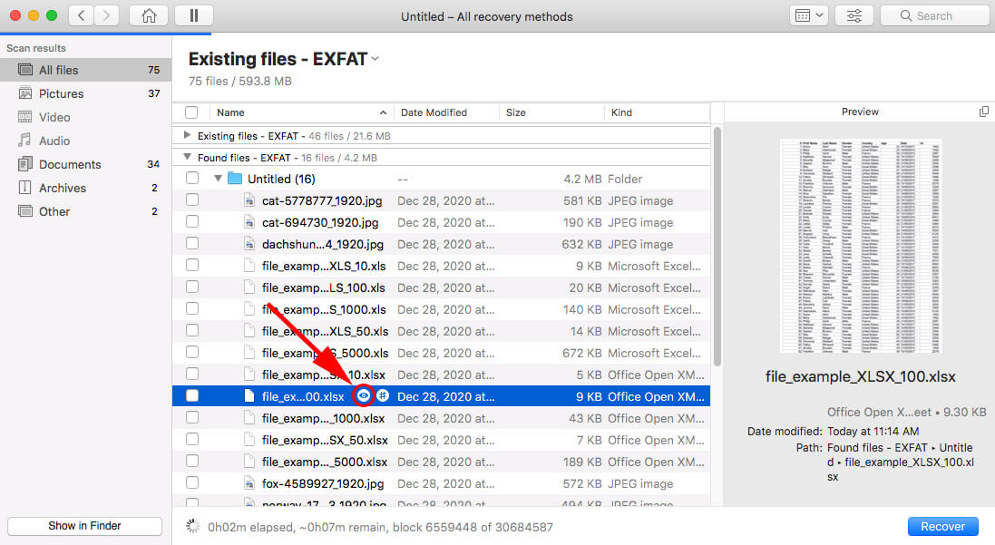 preview xlsx files