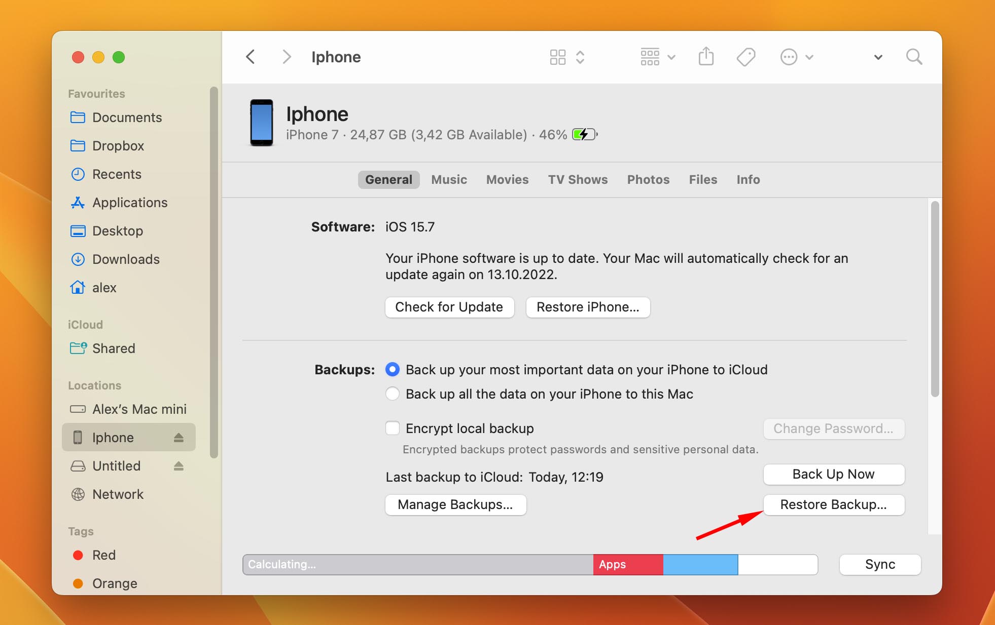 click the Restore Backup button