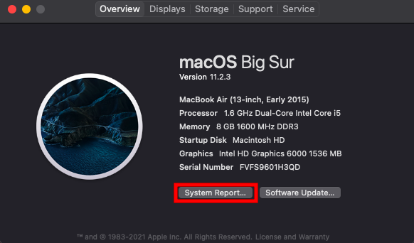 System Report