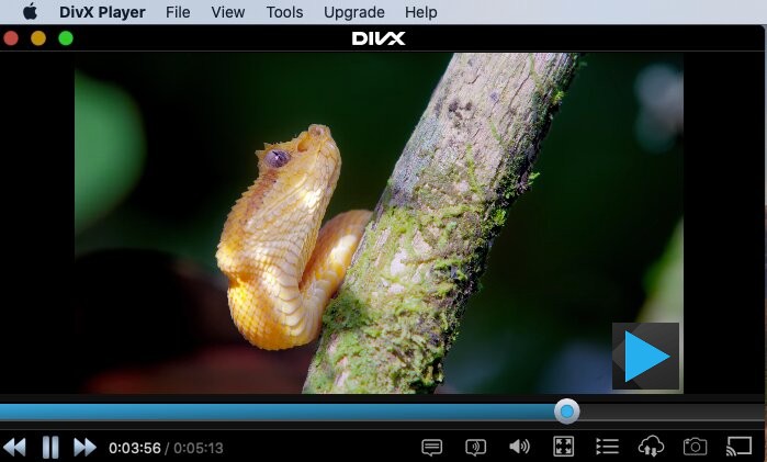DivX plays directly from Google Drive or Dropbox