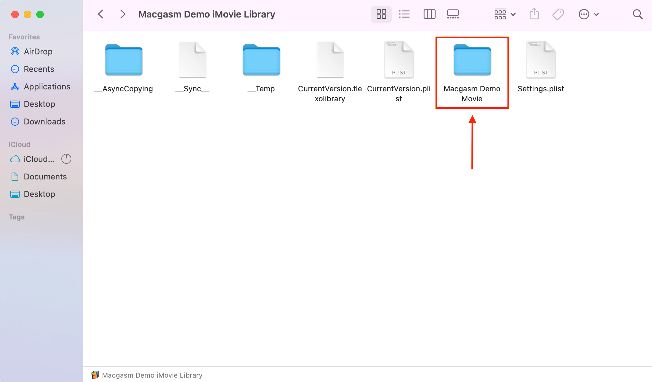 window of an iMovie library's package contents