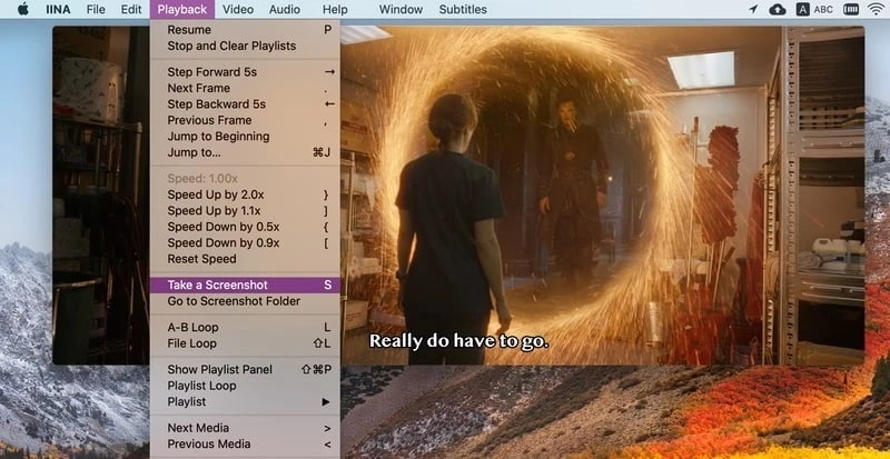 IINA modern media player for macOS