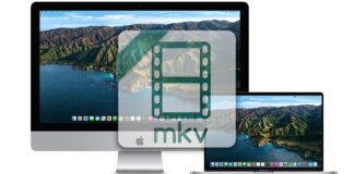 About MKV file format