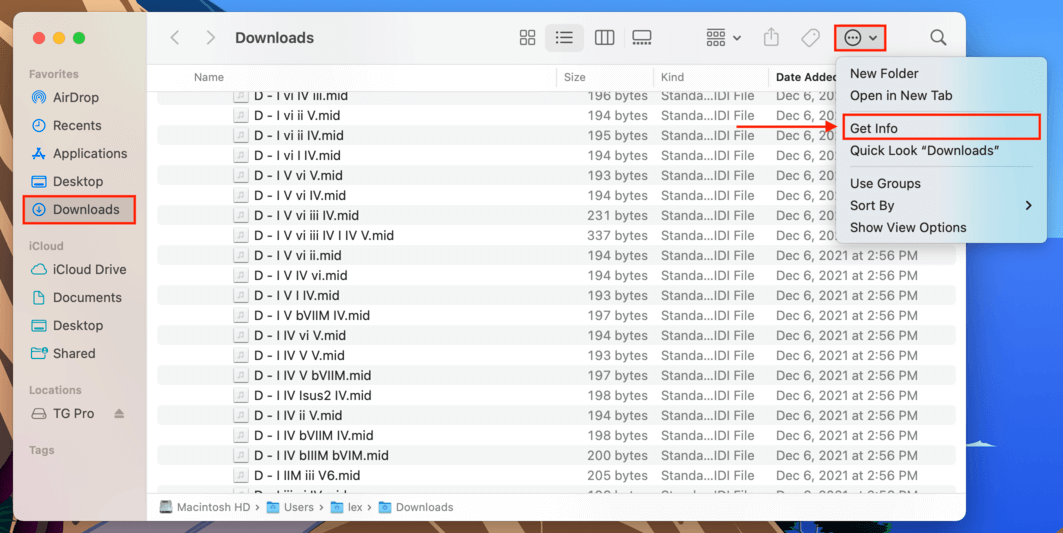 downloads folder with the ellipses menu opened and an outline highlighting the get info option