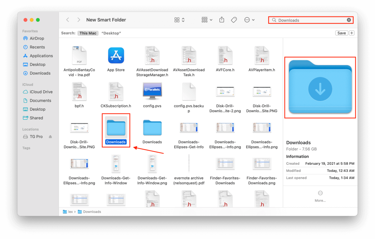new smart folder window with an outline highlighting the downloads folder