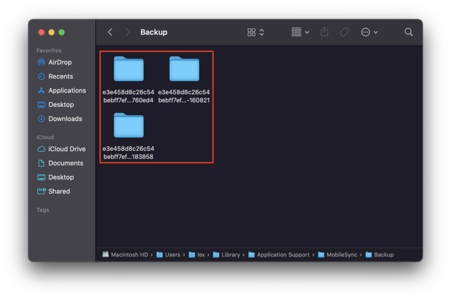 itunes backup folder with an outline highlighting the backup subfolders