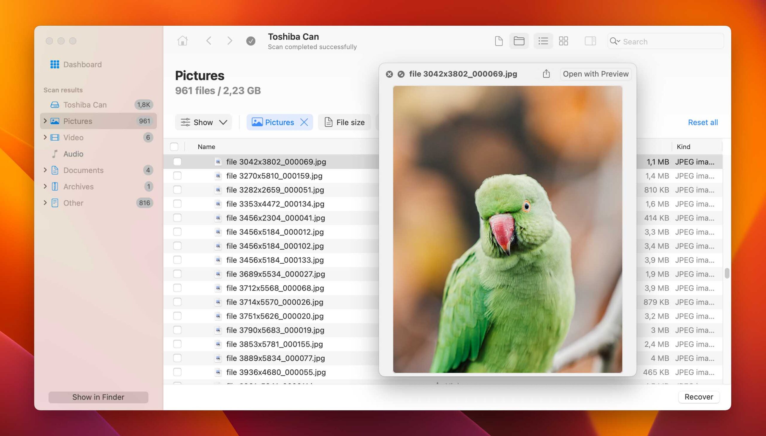 Find your desired file