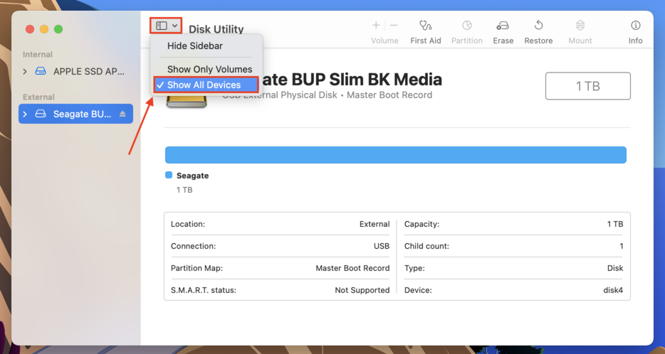 Show All Devices option in Disk Utility's View Menu