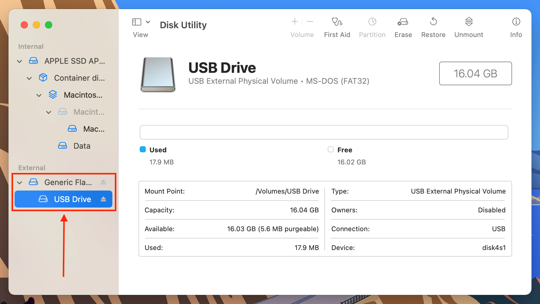 USB flash drive in Disk Utility