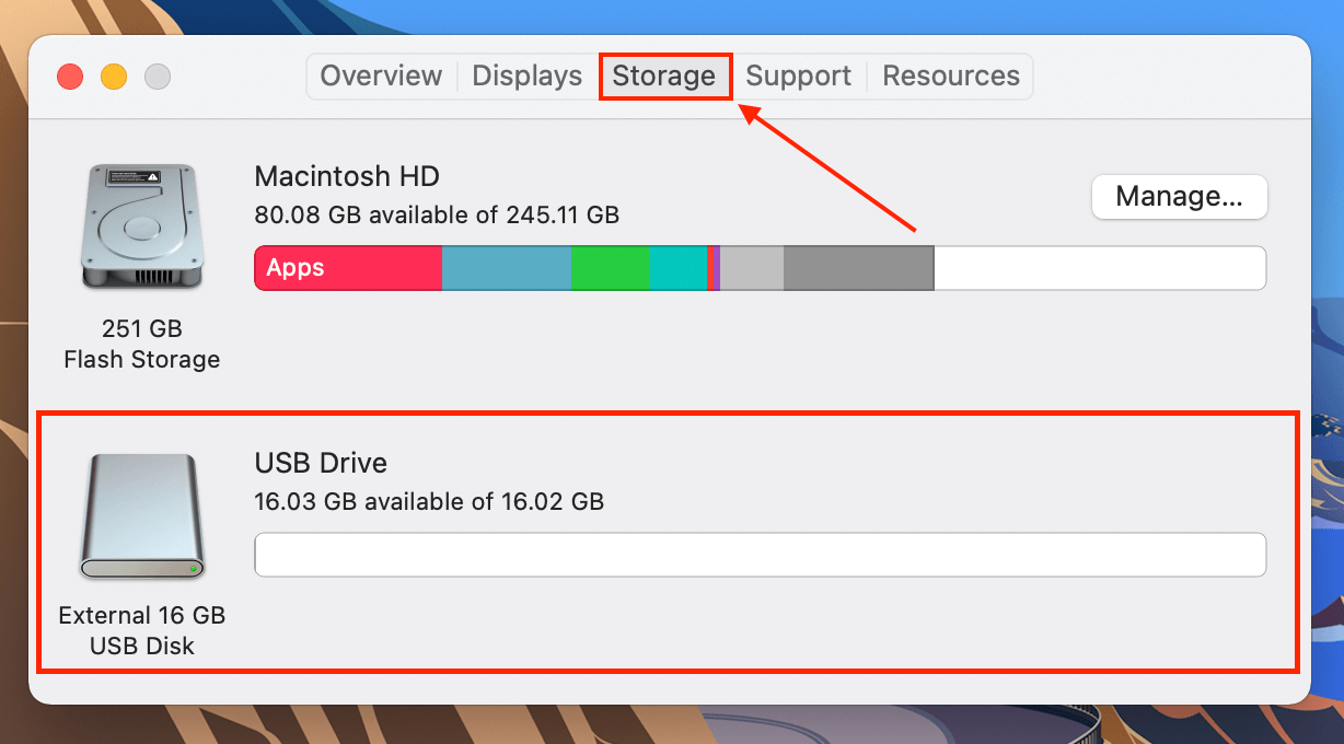 Storage tab in the System Information window