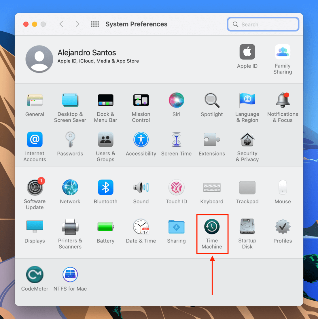 Time Machine settings in the System Preferences window
