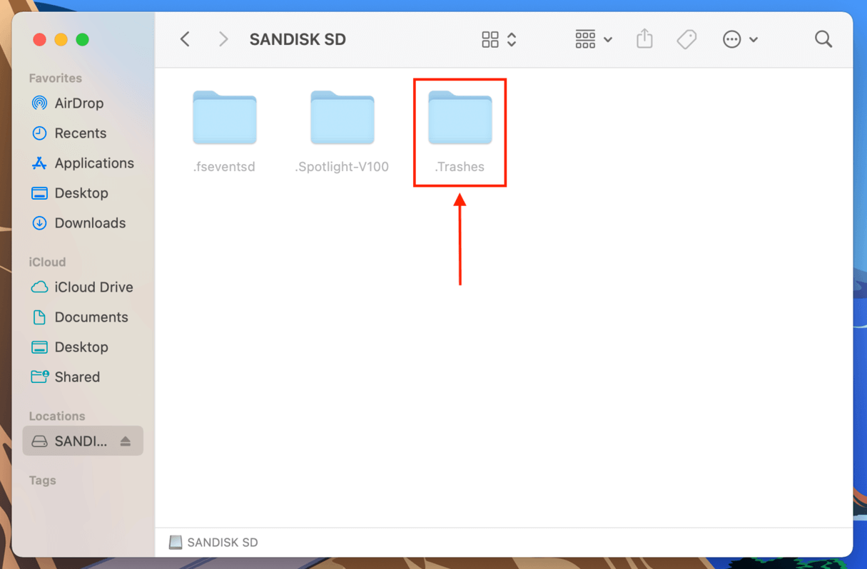 Hidden Trashes folder in the SD card folder