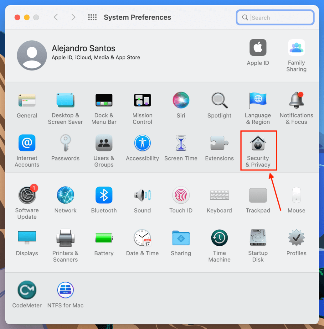 Security and Privacy icon in the System Preferences window