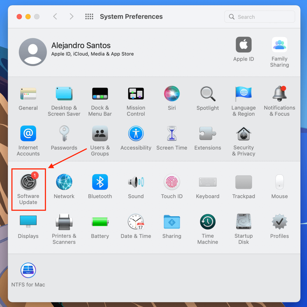 Software Update icon in the System Preferences window