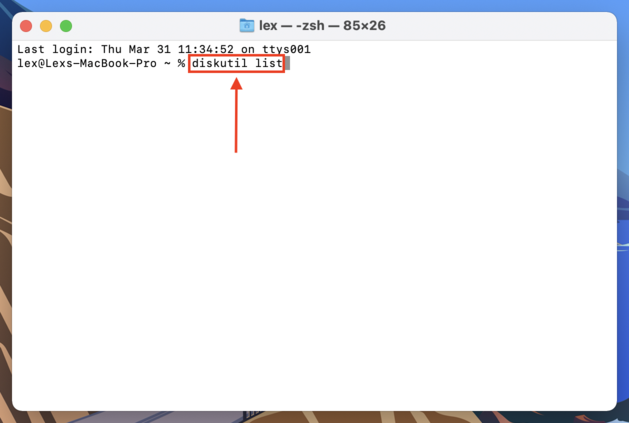 Diskutil list command in the Terminal app