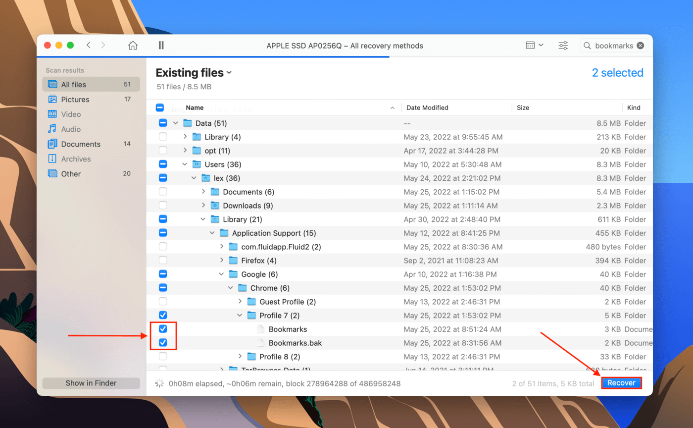 Disk Drill file selection column