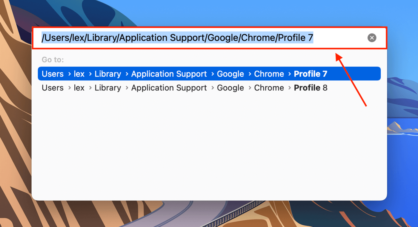 Google Chrome folder in Finder's Go to Folder window