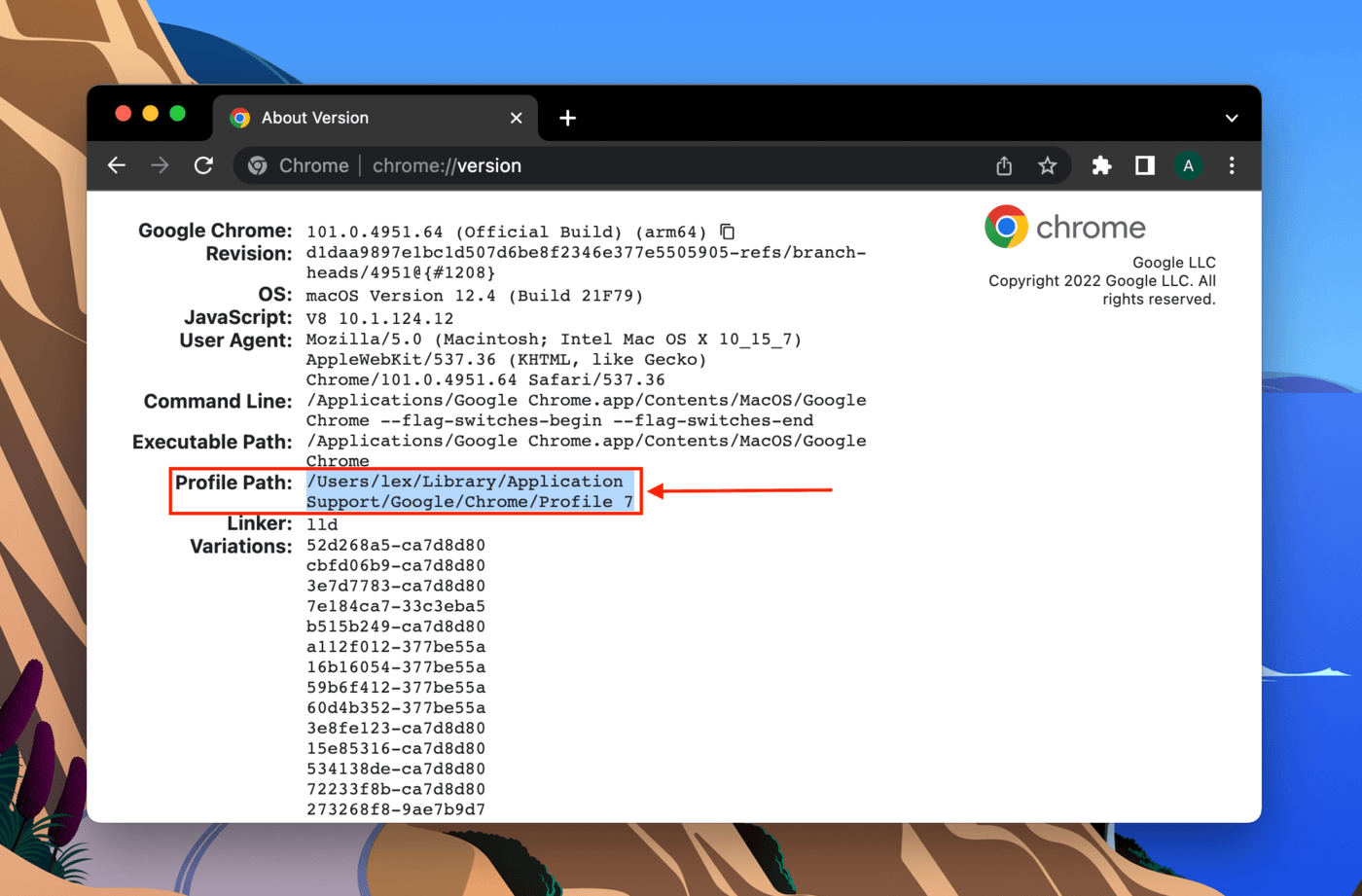 Profile Path in the Google Chrome browser