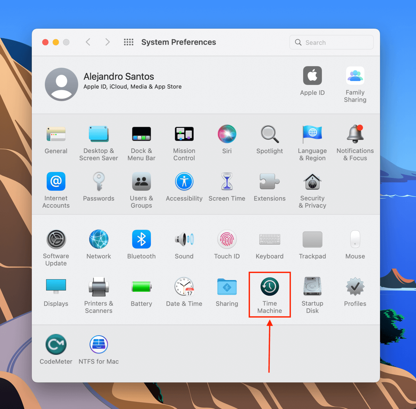 Time Machine icon in the System Preferences window
