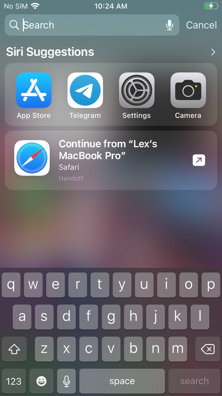 iPhone Siri search screen