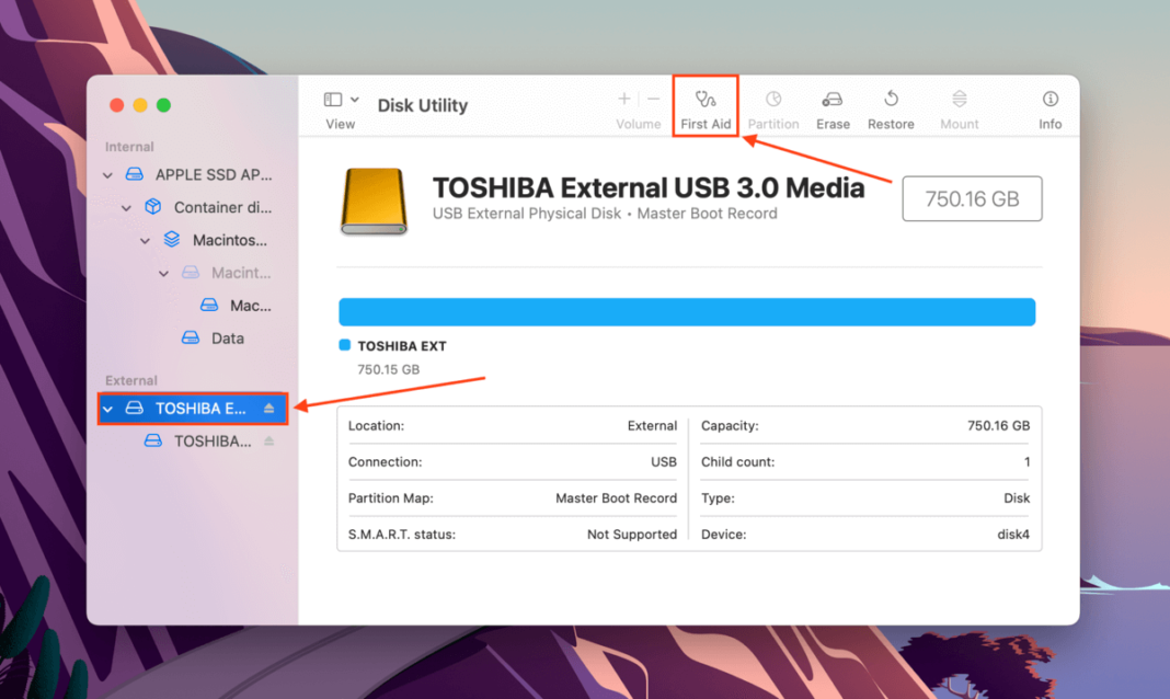 External Hard Drive Is Not Mounting on a Mac Best Ways to Fix