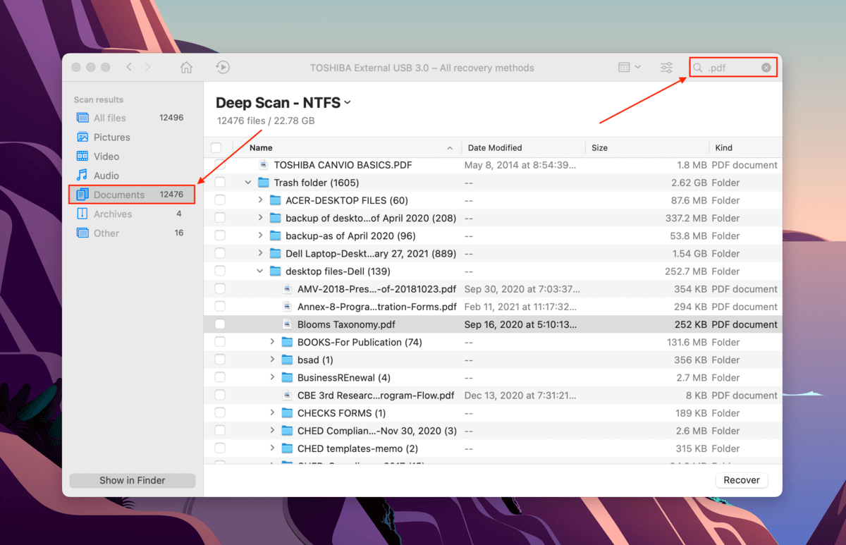Disk Drill search bar and file type sidebar