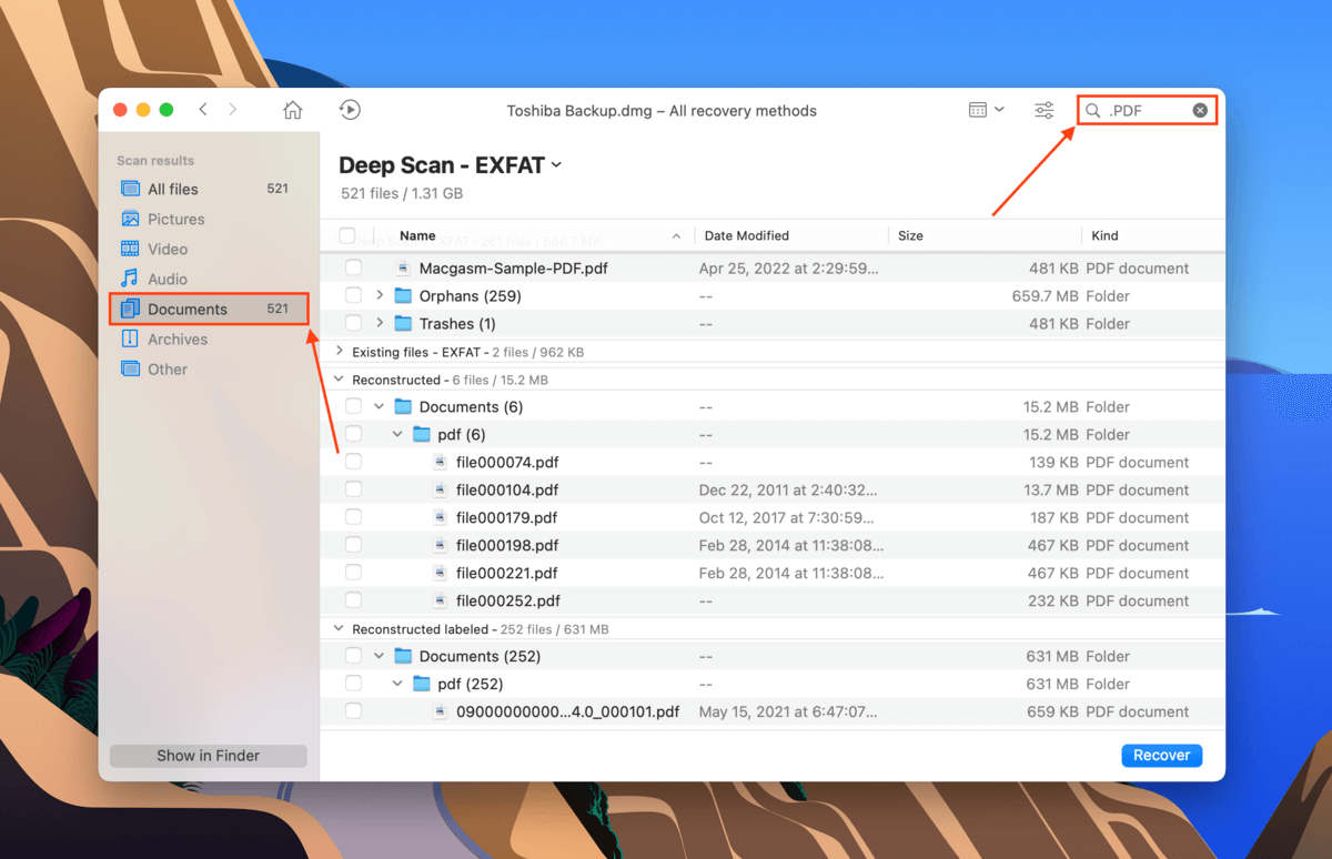 Disk Drill searhc bar and file type sidebar