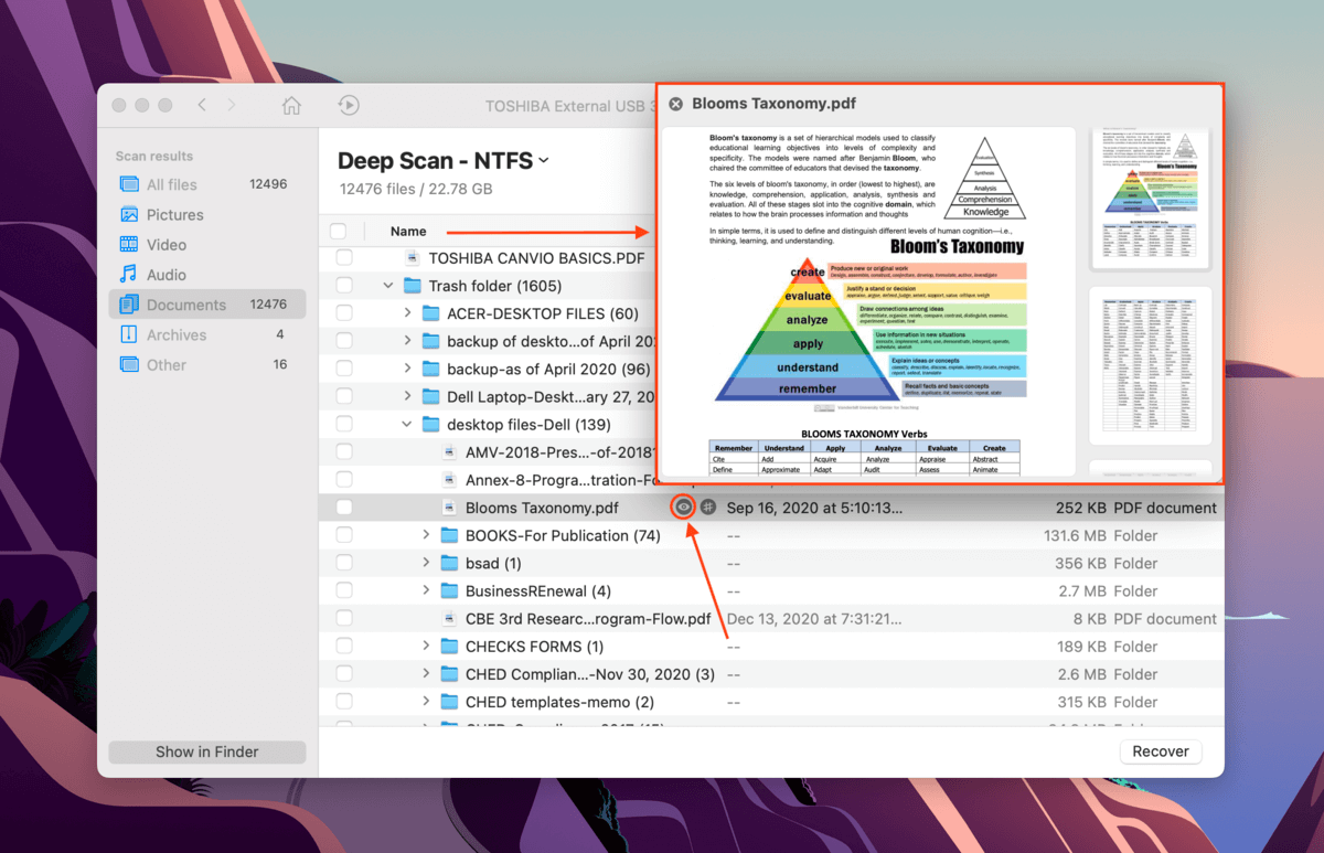 Disk Drill hard drive file preview