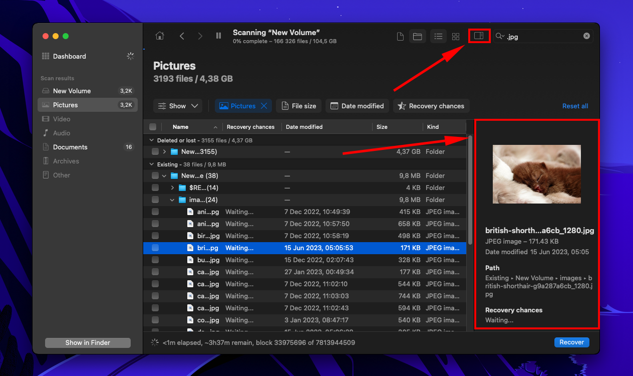 Disk Drill WD drive file preview