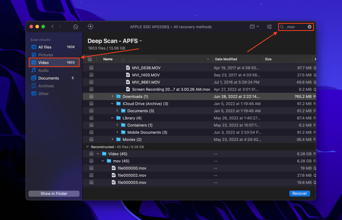 Disk Drill search bar and file type sidebar