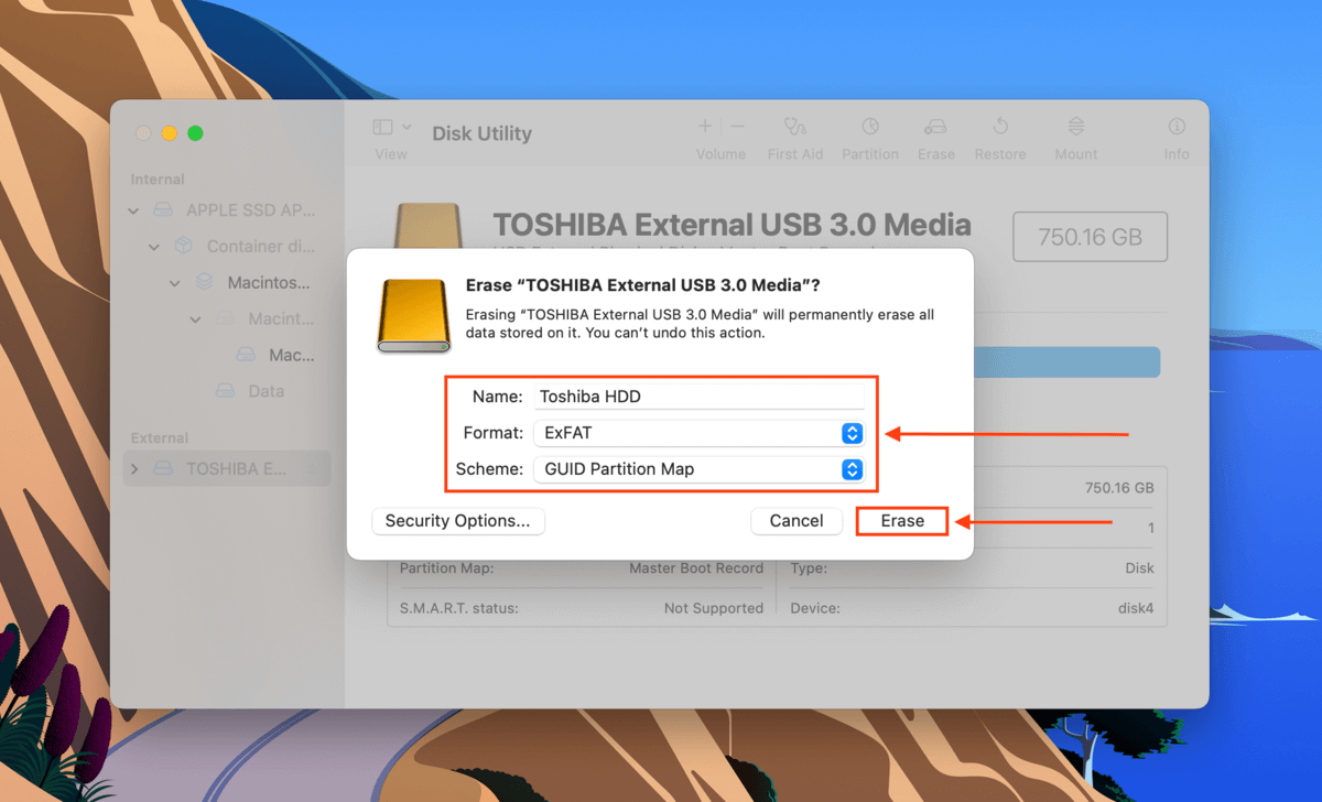 Disk Utility erase dialogue