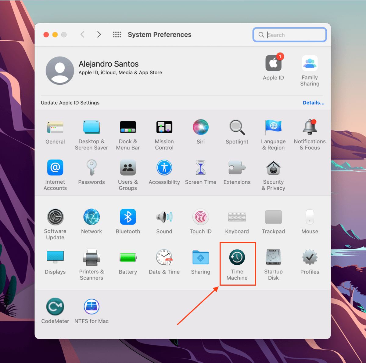 Time Machine icon in the System Preferences window