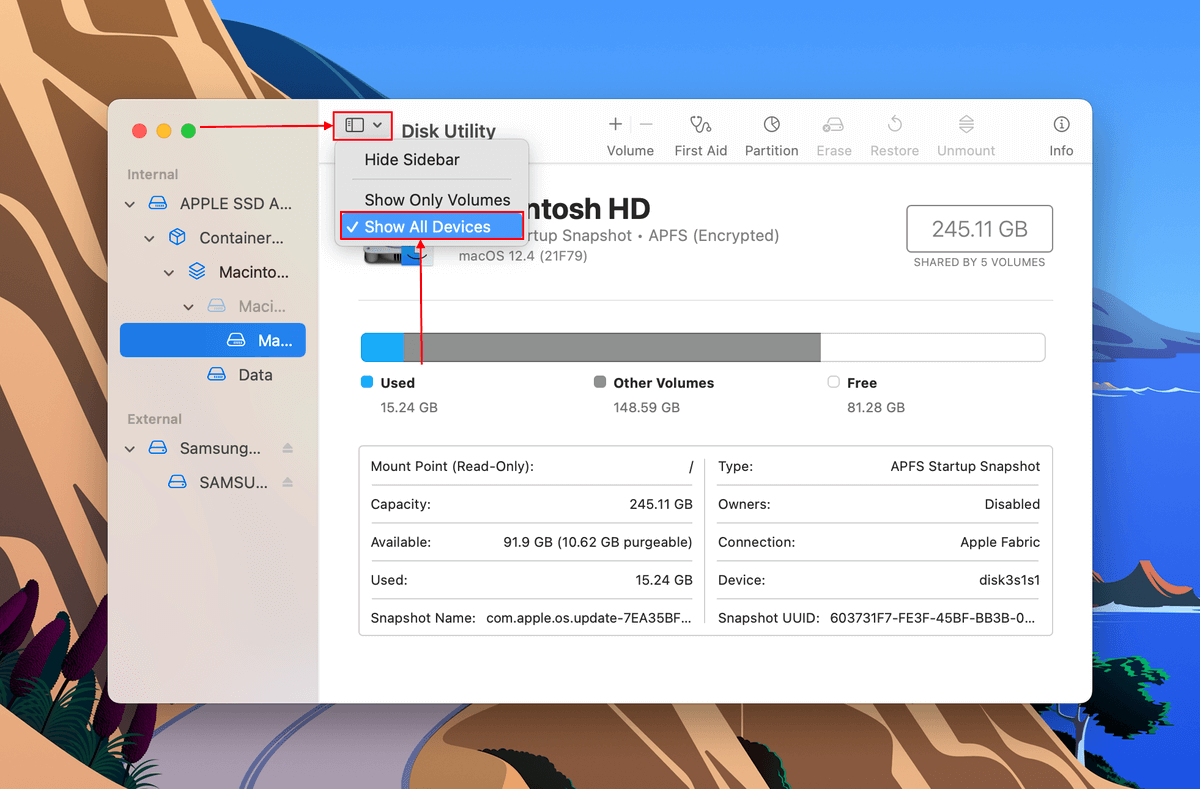 Show All Device highlighted in Disk Utility window