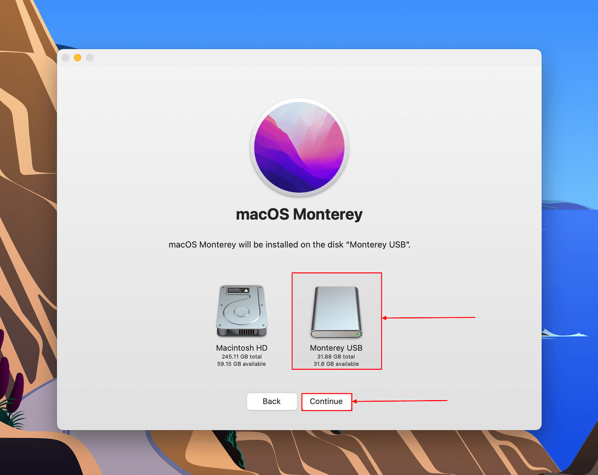 Show All Disks button in MacOS installation window
