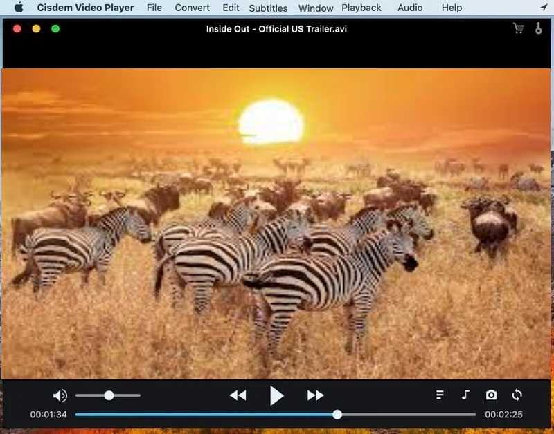 Cisdem Video Player for Mac
