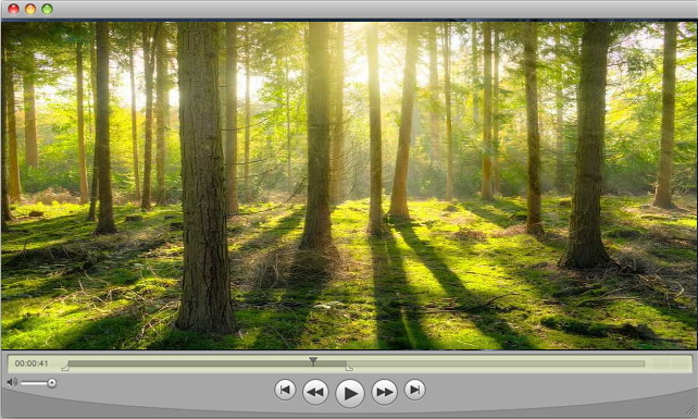 Quick Time is the default media player Mac computers use