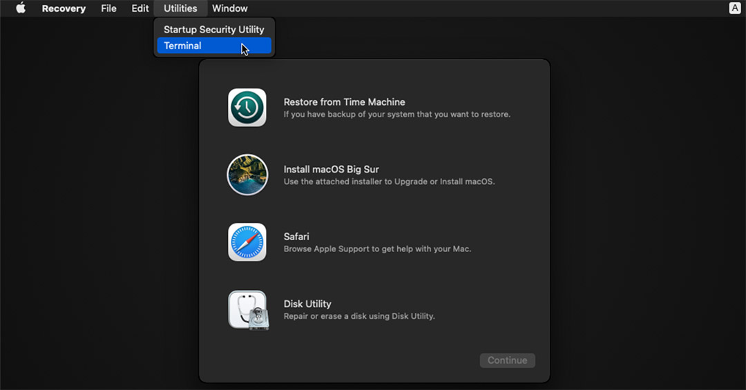 open terminal recovery mode disk drill disk drill