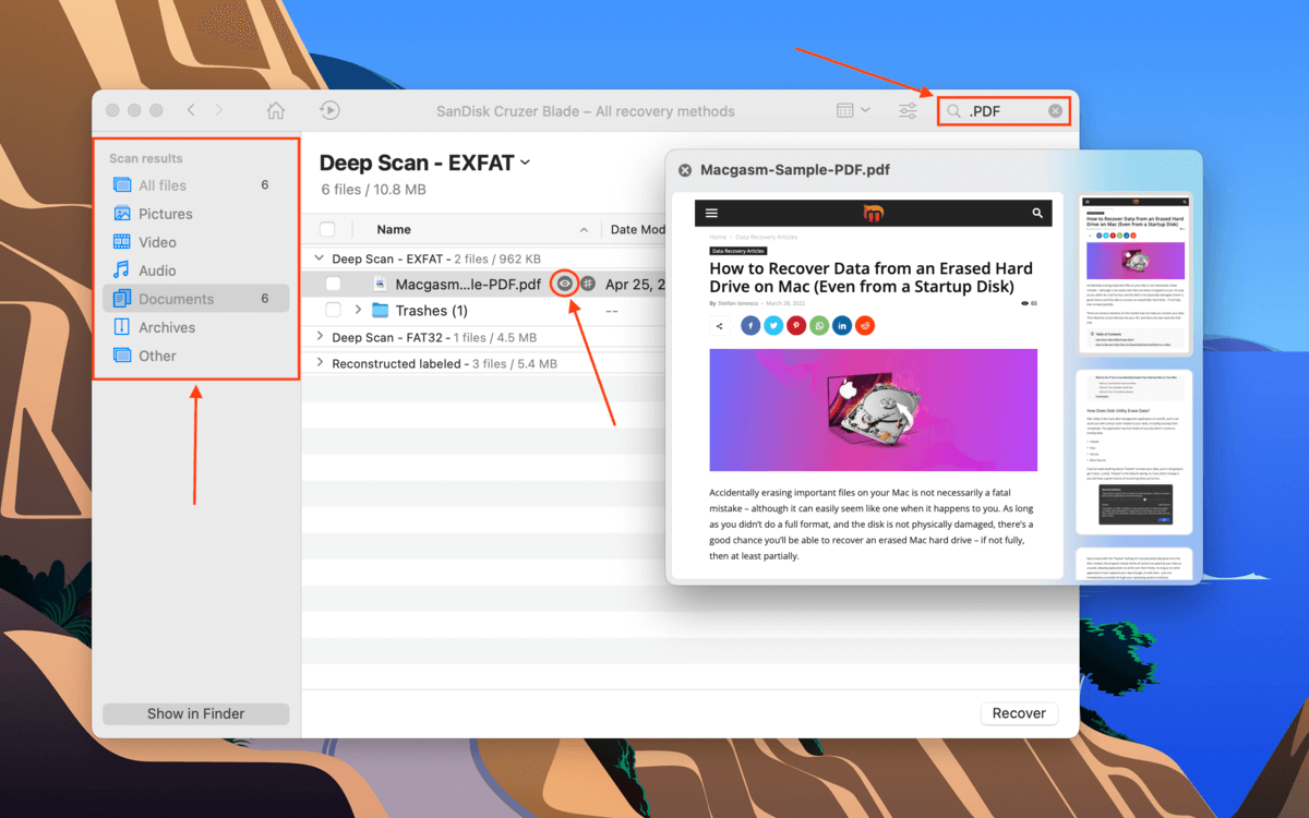 Preview window in Disk Drill