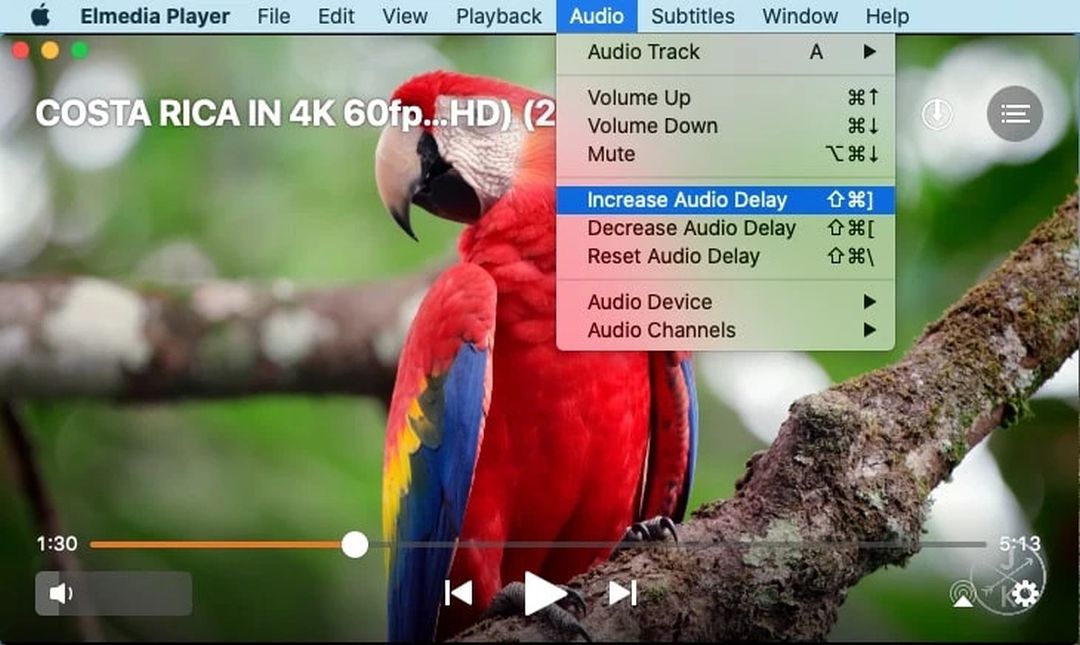 Increasing audio delay with Elmedia Player.